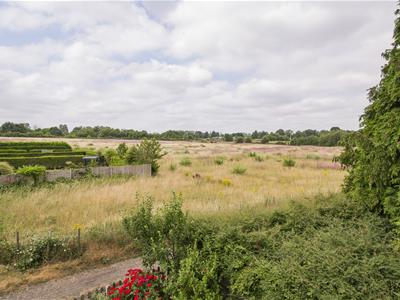 Picture 24
